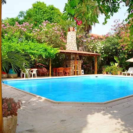 Poseidon * דליאן