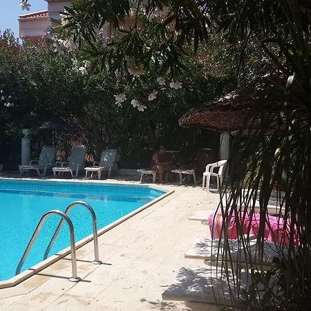 فيلة Poseidon داليان
